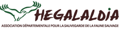 Hegalaldia, Association départementale pour la sauvegarde de la faune sauvage